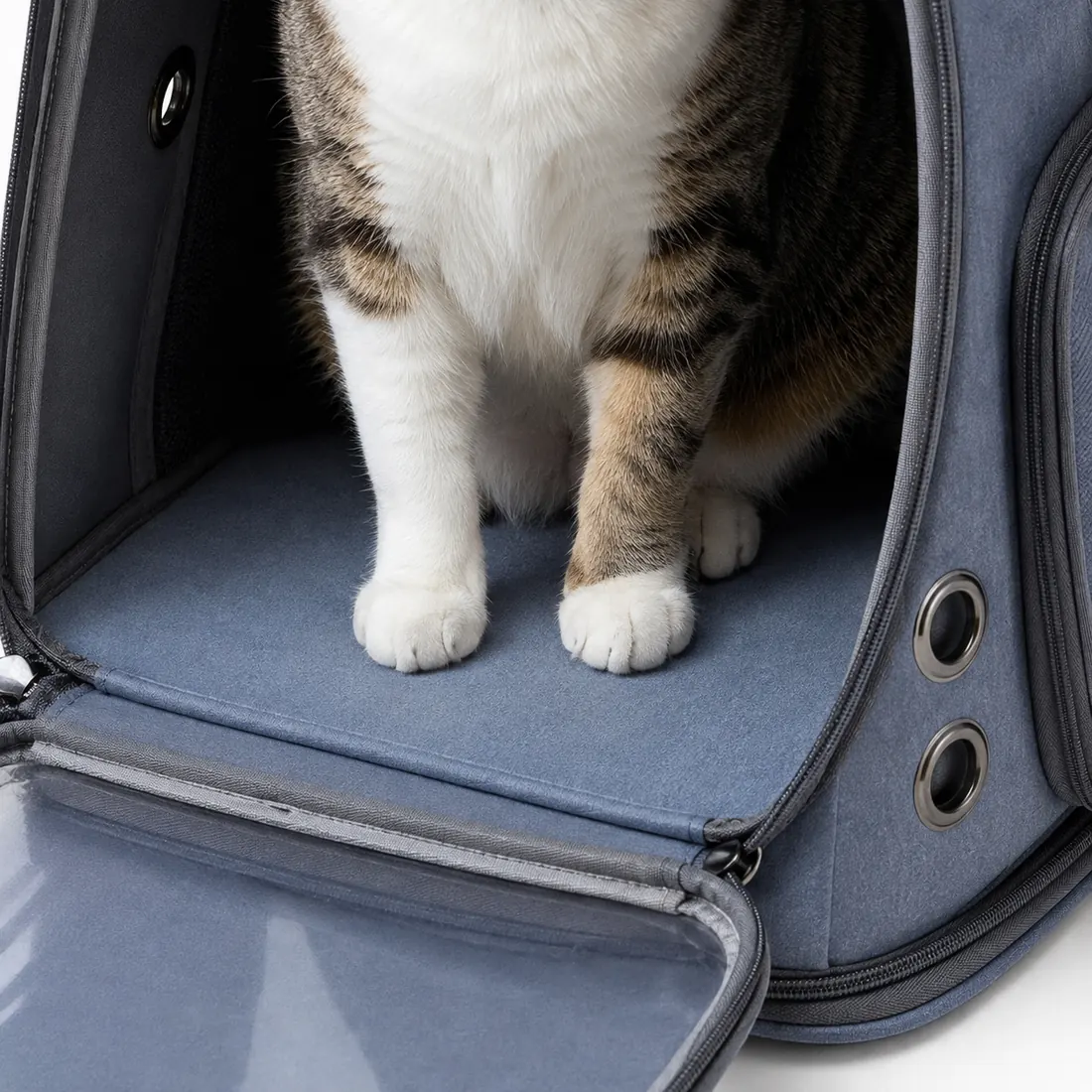Intérieur du sac vu de près : les pattes du chat posées sur une base qui reste plane, sans cuvette