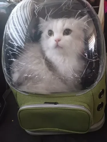 Sac à dos bulle photographié par un acheteur vérifié